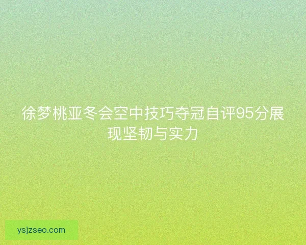 徐梦桃亚冬会空中技巧夺冠自评95分展现坚韧与实力