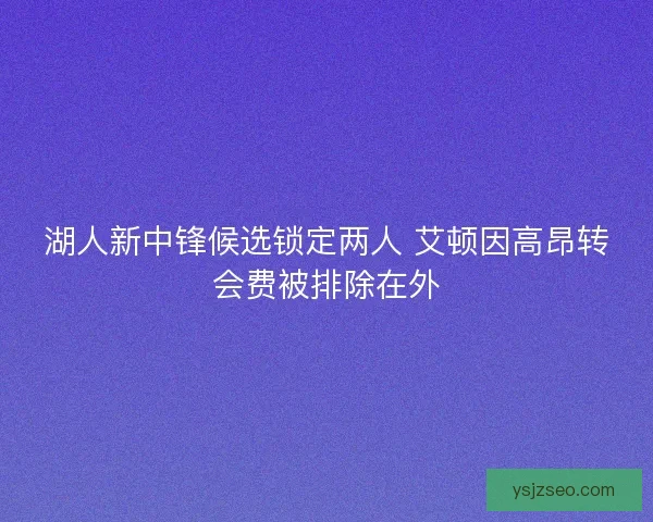 湖人新中锋候选锁定两人 艾顿因高昂转会费被排除在外