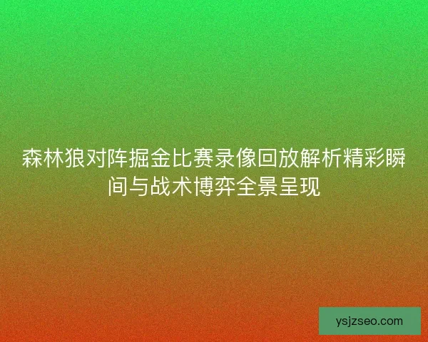 森林狼对阵掘金比赛录像回放解析精彩瞬间与战术博弈全景呈现