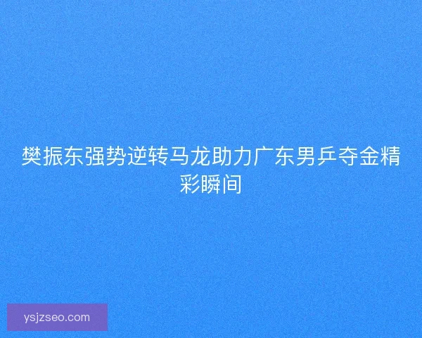 樊振东强势逆转马龙助力广东男乒夺金精彩瞬间