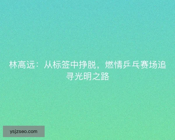 林高远:从标签中挣脱,燃情乒乓赛场追寻光明之路 林高远:从标签中挣脱,燃情乒乓赛场追寻光明之路