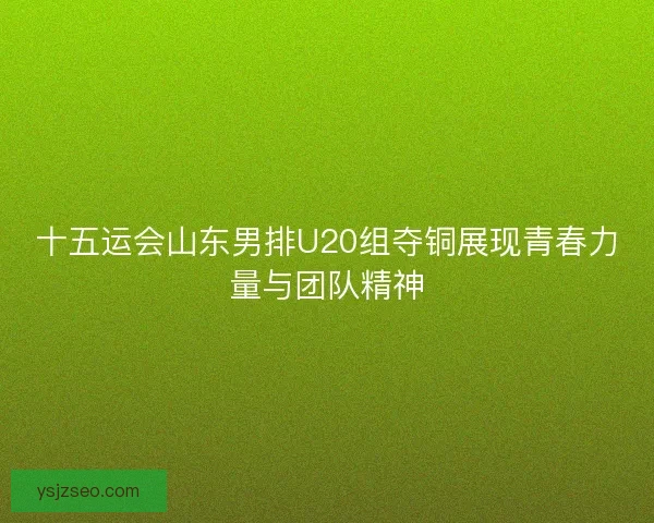 十五运会山东男排U20组夺铜展现青春力量与团队精神